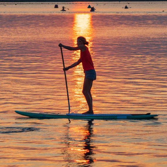 Sunset Paddle | The Paddle Company - Discover Paddle Boarding ...